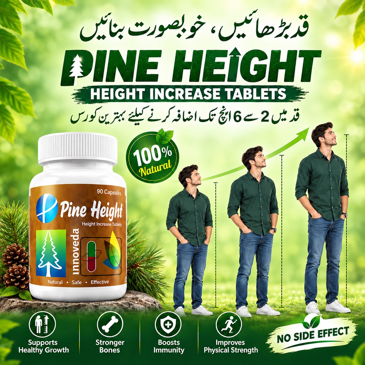 Pine Height